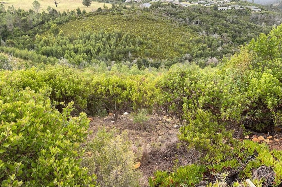 Commercial Property for Sale in Eastford Western Cape